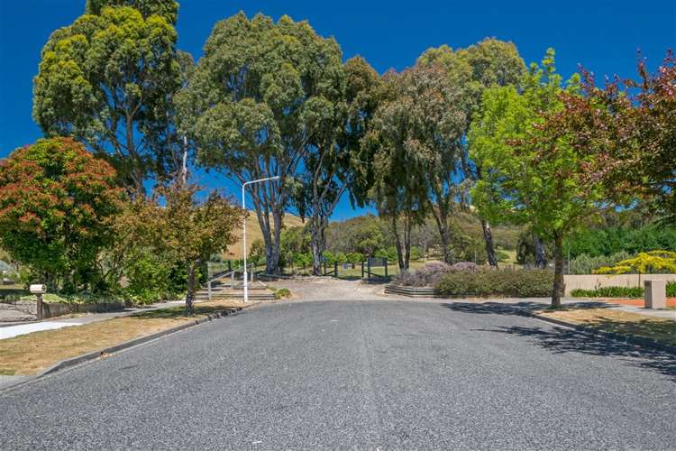 235 Weld Street Witherlea_34