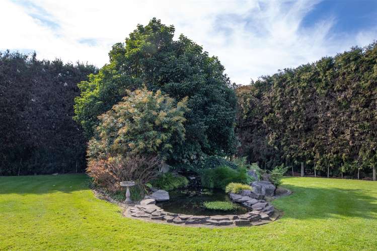 57b Fairview Place Te Puke_28