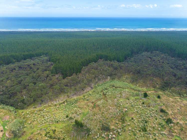 Lot 2/DP170782 Wilson Road South Head_7