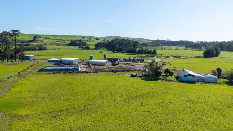 886 Kakariki Road Eketahuna_13