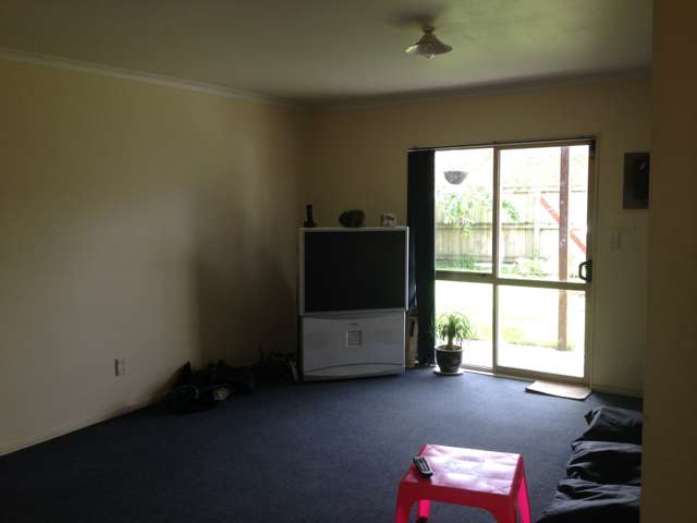 11a Peachgrove Road Hamilton East_3