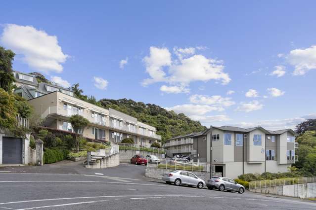 16/50 Park Street North Dunedin_1