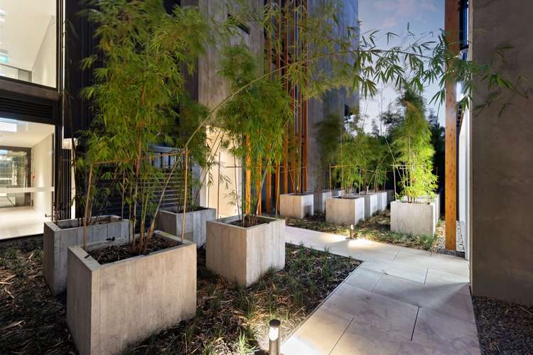 404/250 Kepa Road Mission Bay_17