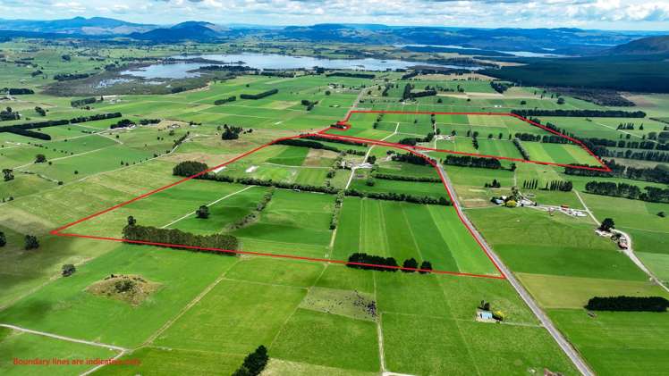 62 Ngamotu Road Rerewhakaaitu_1