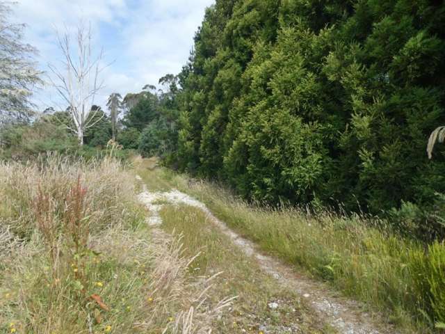 Keogans Road Hokitika_3