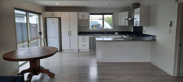 447A Barrington Street Spreydon_4