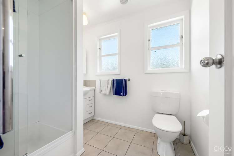 155 Oxford Terrace Epuni_10