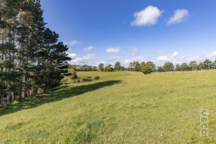 1226 State Highway 16 Waimauku_39