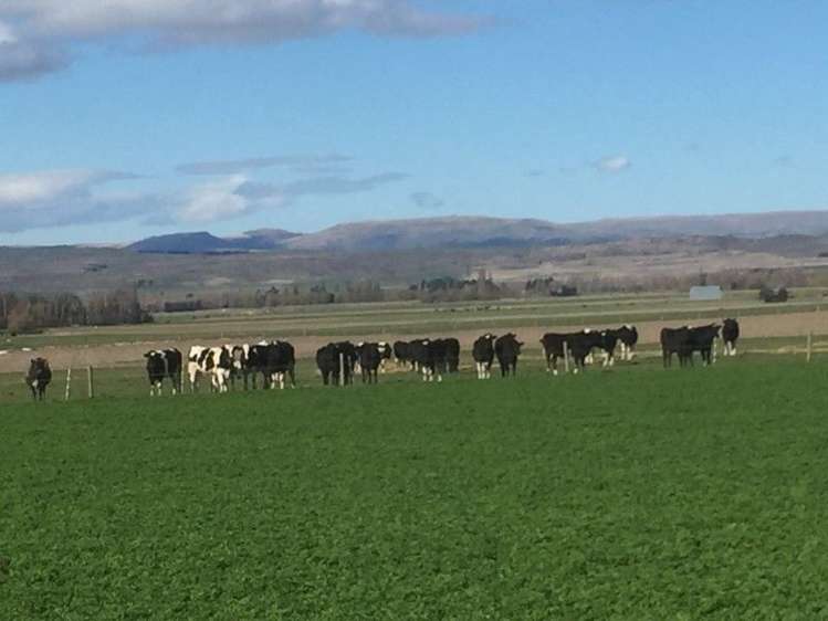 759 Gladbrook Road Middlemarch_15