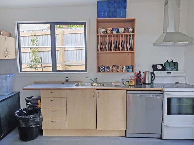 65 Dunrobin Street Waverley_4