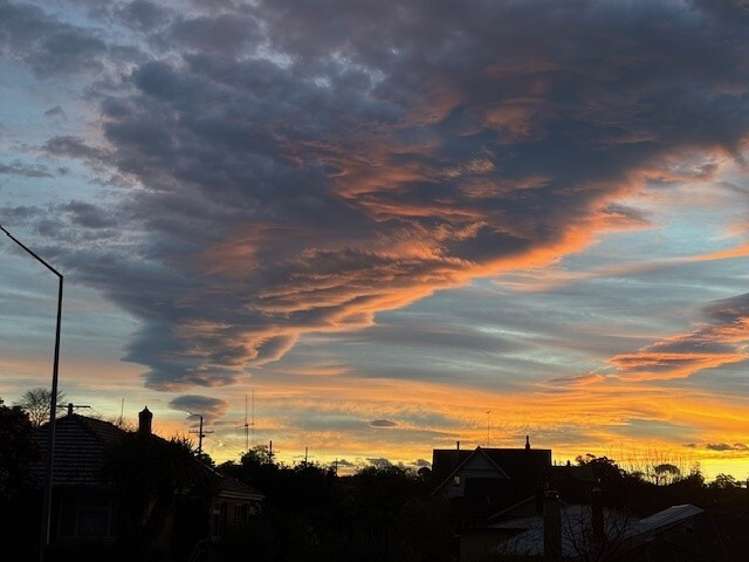 3/59 Evans Street Waimataitai_29