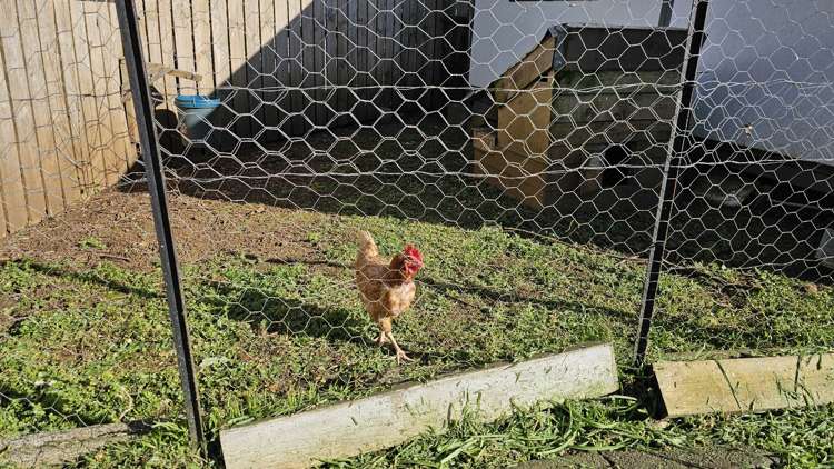 38 Guy Road Kaikohe_16