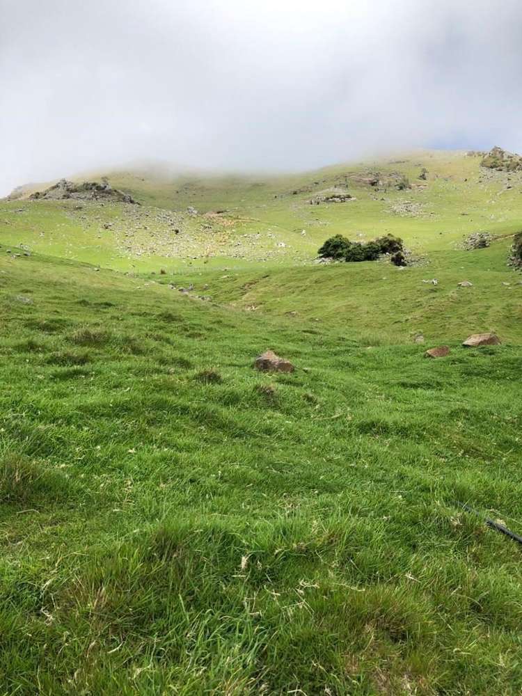 4990 Christchurch Akaroa Road Little River_8