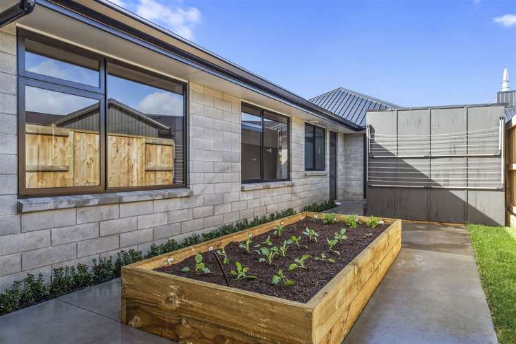 1 Augusta Place Morrinsville_26