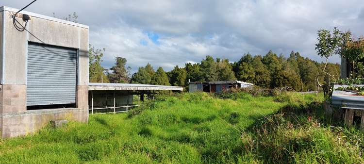 59 Griffin Road Maungaturoto_9