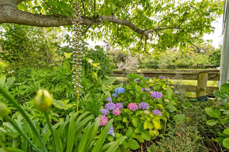 564 State Highway 53 Tauwharenikau_33