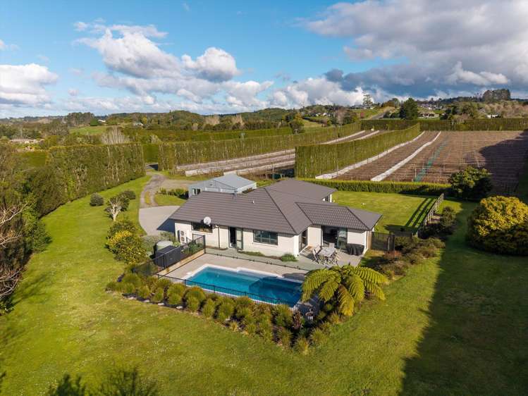 640 Esdaile Road Whakamarama_22