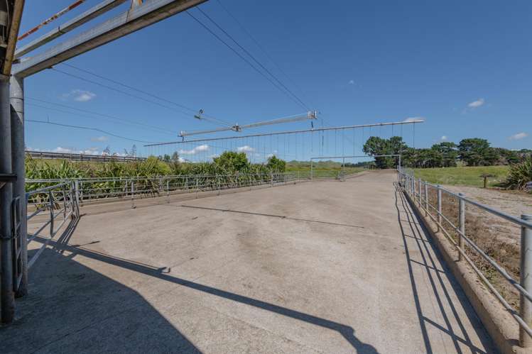 172 Kakariki West Road Eketahuna_21