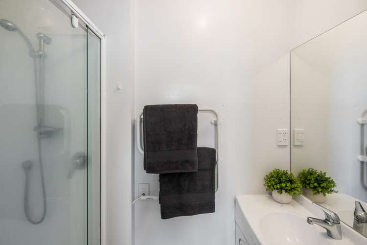 146b Aro Street Aro Valley_8