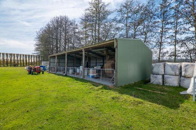 84C Voss Road Lincoln_4