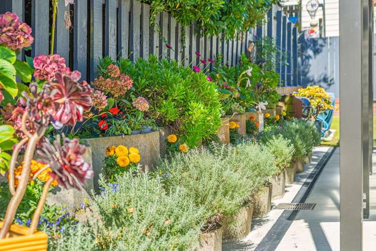 22A Arawhata Street Ranui Heights_18