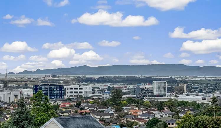 9 Hurstbourn Priors Goodwood Heights_6