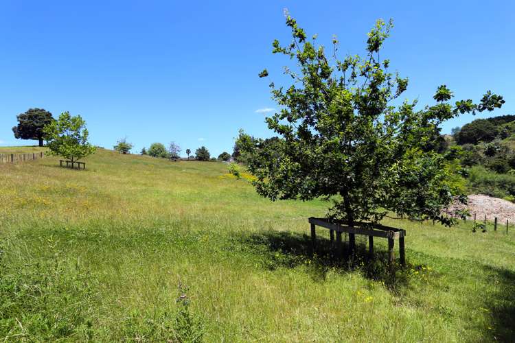 29 Patrick Lane Ramarama_23