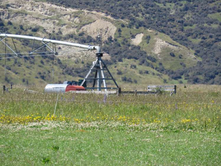 2131 Hakatere Potts Road Mesopotamia_23