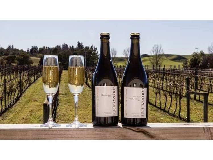 970 Matapiro Road Crownthorpe_12