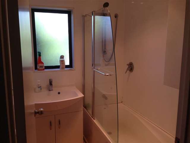 1 Zeralto Lane Mount Roskill_3