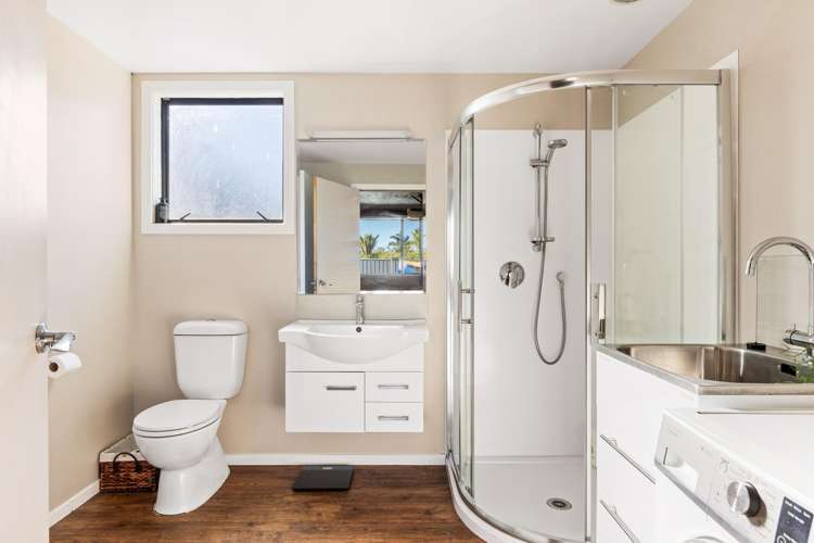 164 Whitaker Street Whataupoko_15