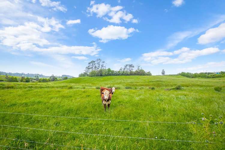 515 Kahikatea Flat Road Waitoki_11