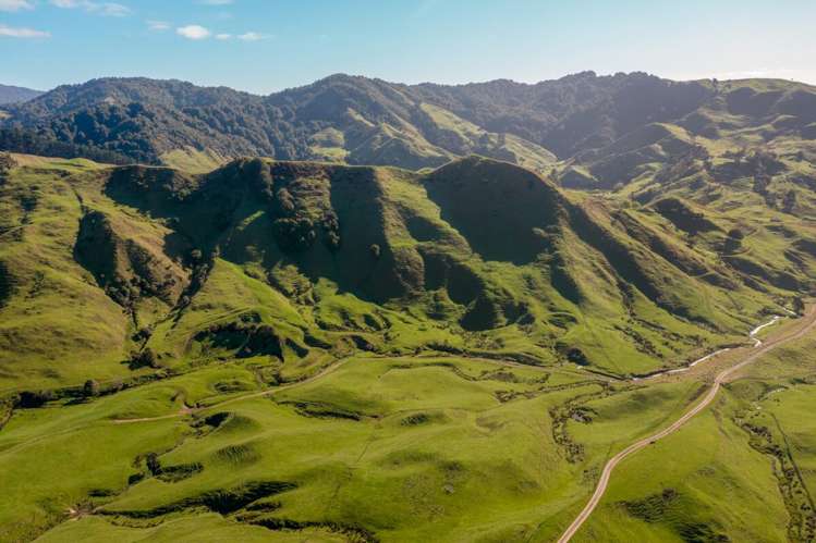 231 Leitch Road Piopio_4