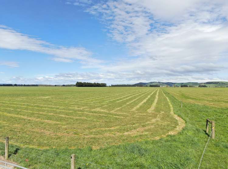 222 Boggyburn Road Winton Surrounds_23