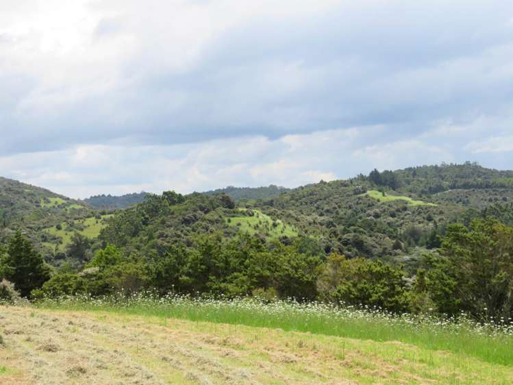 Pataua North Road Pataua_12