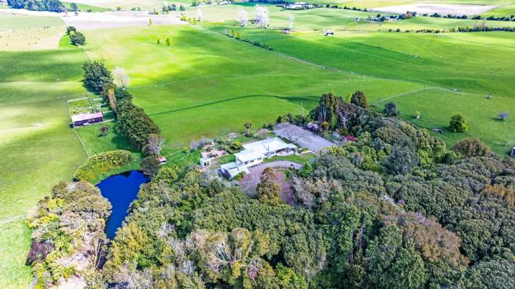 74 Galpins Road Marton_20