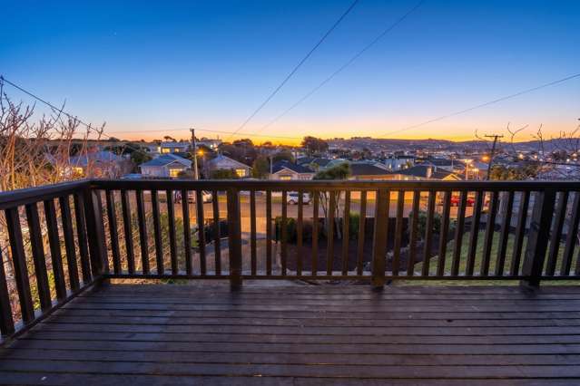 121 Cavell Street Tainui_4