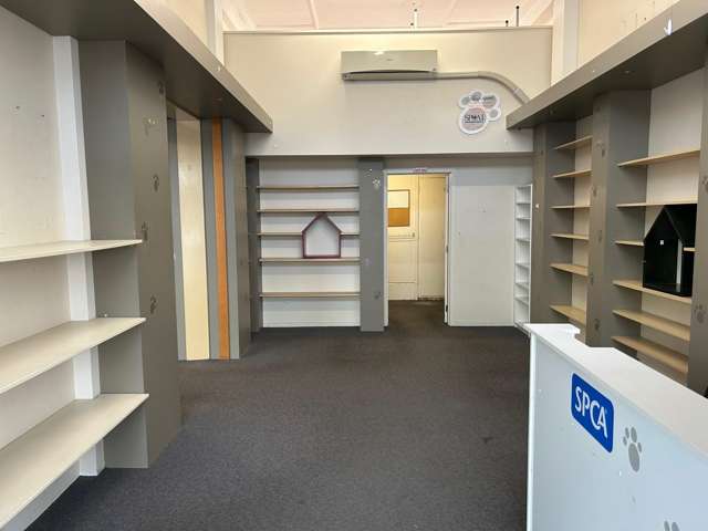 256 Emerson Street Napier Cbd_2