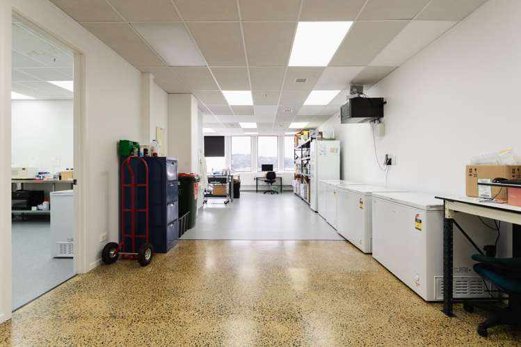 248 Cumberland Street Dunedin Central_42