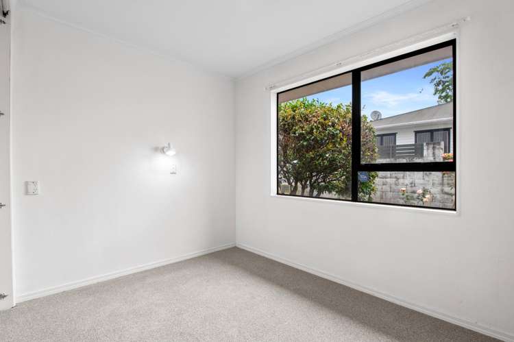 9 Nikau Street Springfield_12