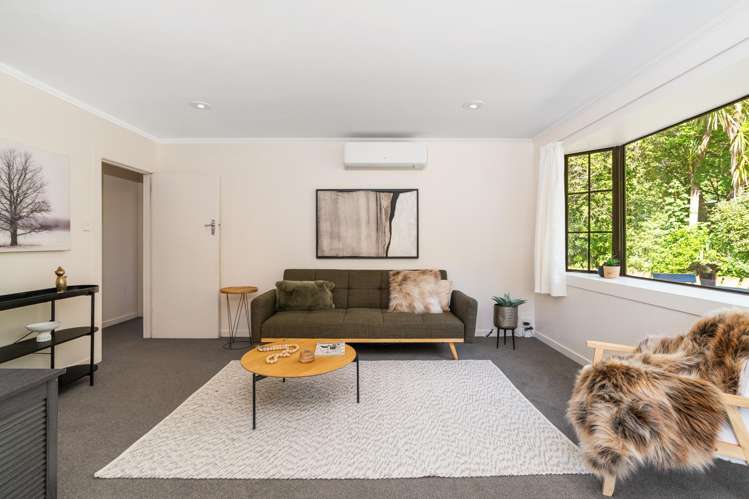 33 Tannadice Street Normanby_10