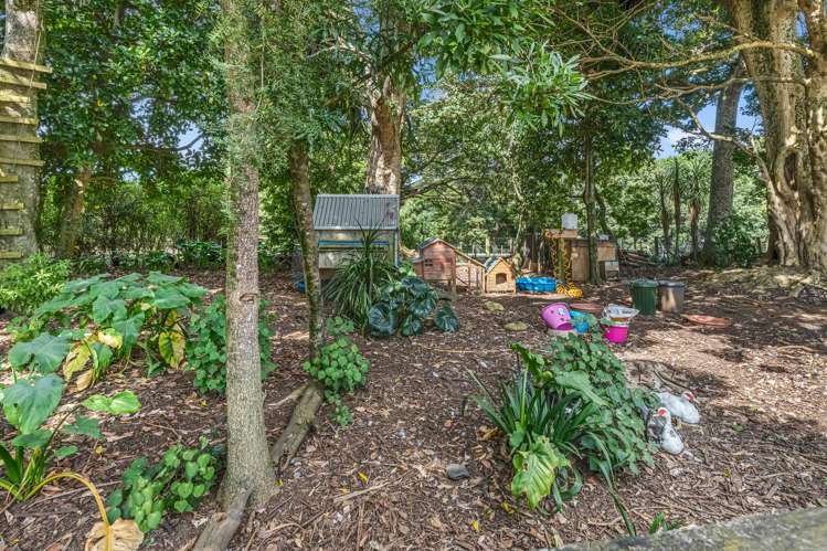 17 Shipherd Road Puni_34