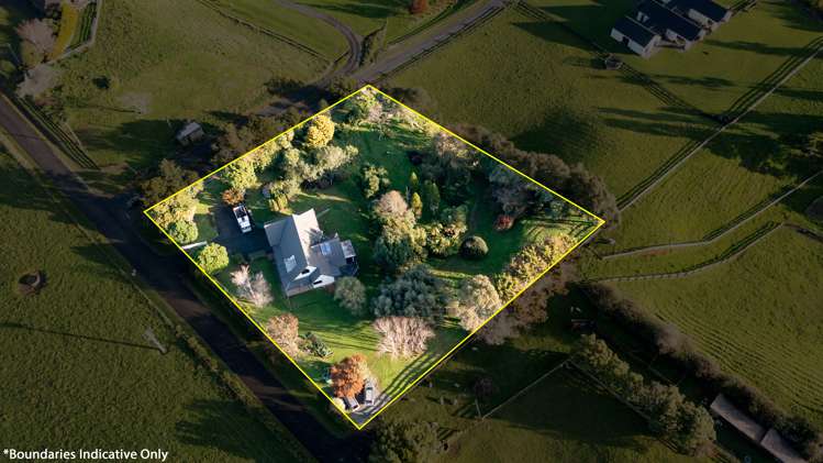 155 Woolrich Road Te Kowhai_2