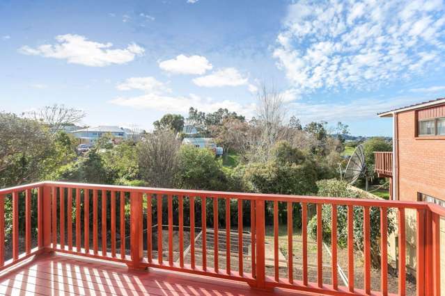 151 White Swan Road Mount Roskill_4