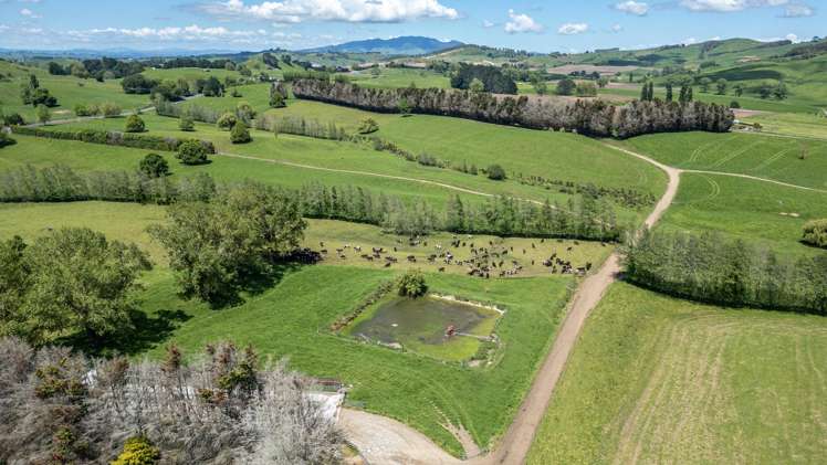 774 Buckland Road Matamata_7