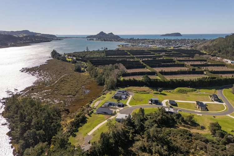 32 North Ridge Drive Pauanui_16