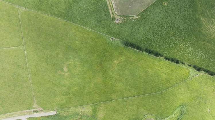 447 Pinfold Road Papatawa_13