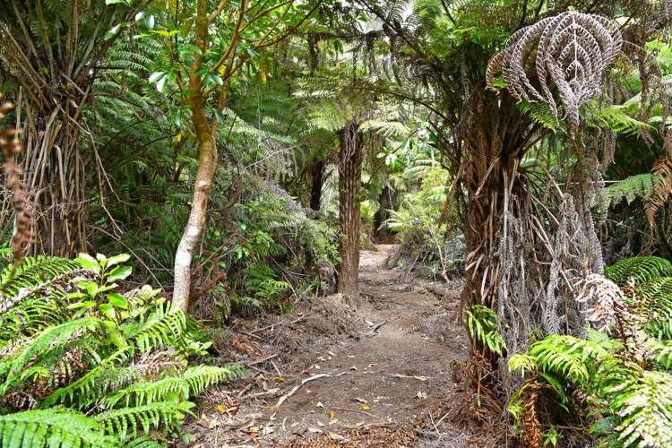 86d Kaitoke Loop Kaitoke_20