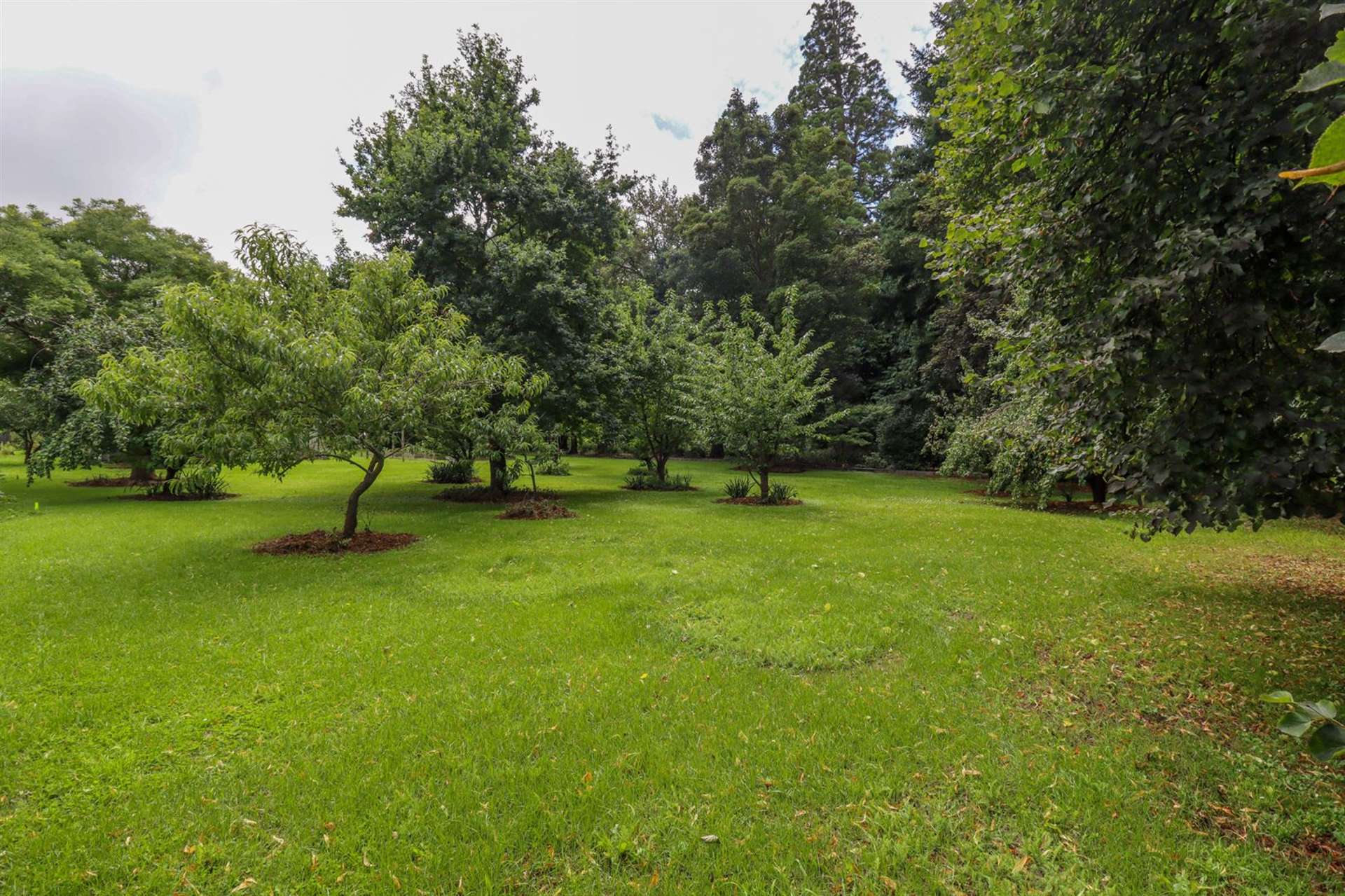 Lot 1 Ashfield Manor Estate Temuka_0