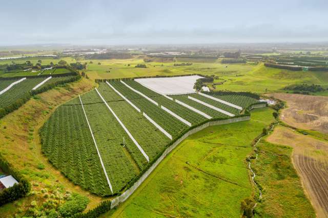 472 Old Coach Road Paengaroa_4